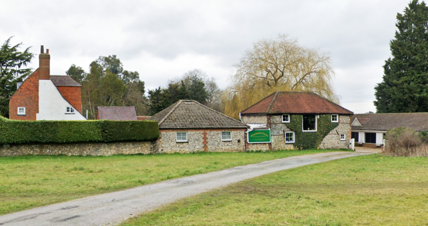 Dog Boarding Kennels in Caterham